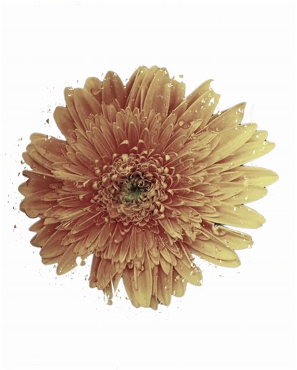 6000 Degrees (AH HA) - Lyrics Explained