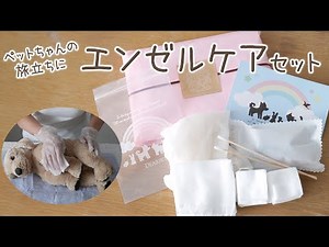ペットのエンゼルケア・安置方法
