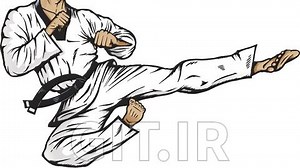 Medical Device Software Process Blackbelt