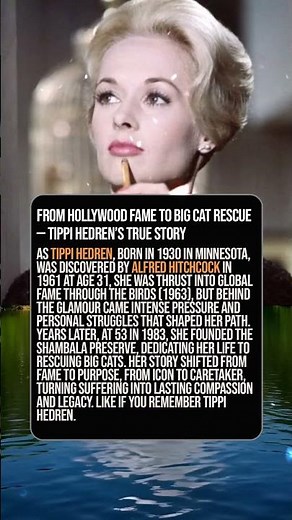 From Hollywood Fame to Big Cat Rescue — Tippi Hedren’s True Story
