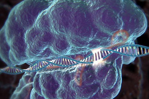 What is CRISPR? - MIT McGovern Institute