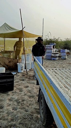 Honey loding #honeybucket #purehoney #rawhoney #shudhhoney | Saini bee farm and raw honey