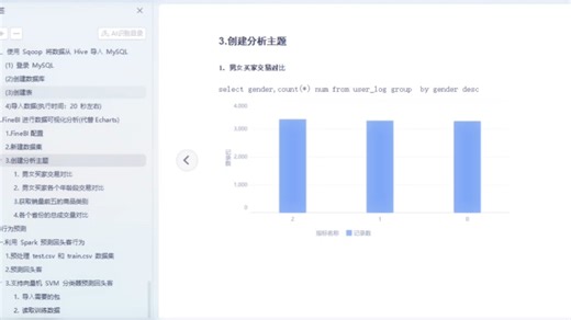 Hadoop Spark Hive大数据分析教程 报告 录屏 fineBI(可视化工具)