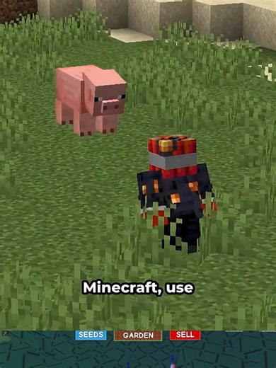 Secret food in minecraft #fyp #minecraftbuilds #minecraftanimation #secretfood