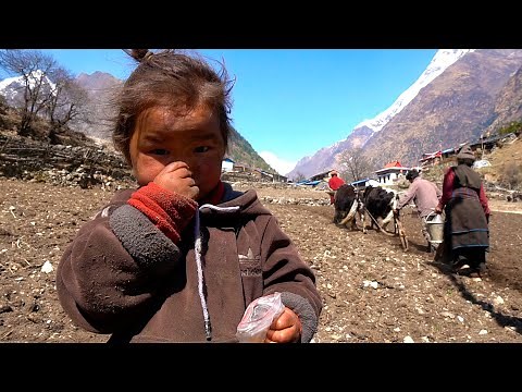 А Dinner of monk in a Tibetan Village high in the Himalayas. Life in the mountains