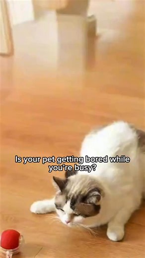 Is your pet getting bored while you’re busy? 🐾 Let them have fun on their own with the Smart Interactive Pet Toy Ball — it moves, spins and dodges obstacles all by itself! Perfect for cats and dogs that need stimulation and exercise while you’re away. ✅ 360° self-moving ball ✅ Intelligent obstacle avoidance ✅ USB rechargeable & durable ✅ Keeps pets active, happy and healthy Give your furry friend endless fun — even when you’re not around! 💕 👉 Shop Now | Pettapy