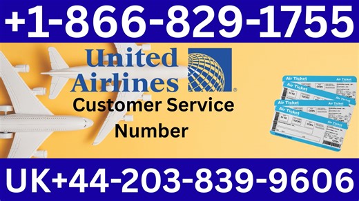 United Airlines™® Official Customer Services | 24/7 Live Help & Help Guide