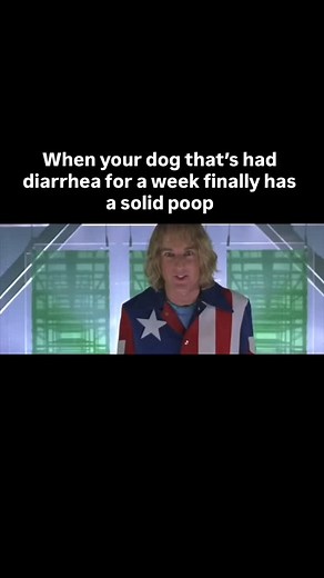 IYKYK All jokes aside dog training plays a big role in keeping our dogs safe from upset stomachs and diarrhea by teaching them boundaries and impulse control. With consistent training, dogs learn to leave things alone whether it’s food on the counter, trash on the floor, or something questionable they find on a walk. Commands like “leave it” or “off” become life-saving tools that help prevent them from eating something harmful. By building good habits through training, we reduce their chances of