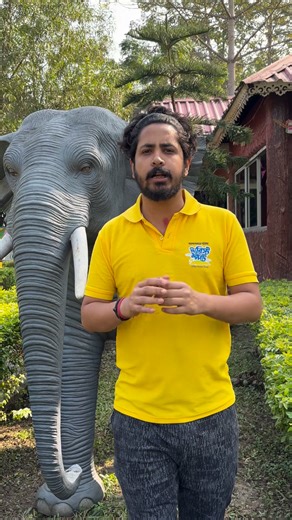 12 reactions | Today The Oxygen Live Shyamali ECO Resort Gorumara #livemusic #music #liveshows #gig #explore #band #bandlive #bollywood #india #dooars #jalpaiguri #event #happynewyear #newyearcelebration | The Oxygen | Facebook