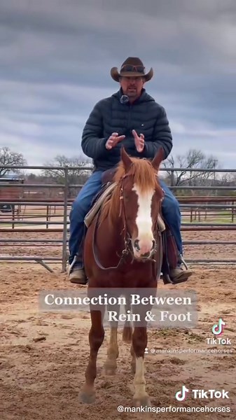 One Rein Backup - Horse Training Tips