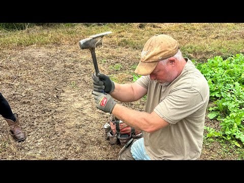 How to trap a redfox