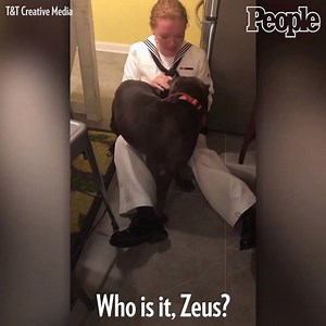 469K views · 10K reactions | This rescue dog couldn't be happier to see his owner return from Navy boot camp. ❤️ | People | Facebook