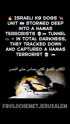80K views · 4.7K reactions | Israeli K9 dogs ‍了 unit stormed into a dark Hamas  tunnel and captured a terrorist  — fearless, precise, unstoppable ⚡ #k9unit #eliteOketz #IDFHeroes #Israel #IsraelStrong #Gaza #tunnel #TunnelRaid #DefendingIsrael | Lochemet Jerusalem | Facebook