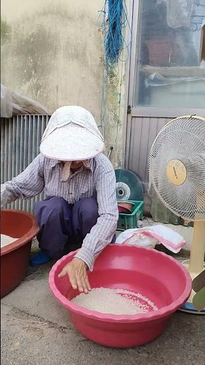 바람으로 쌀알 고르기 ㅡ 혼합물의 분리 밀도&무게를 이용한 혼합물의 분리