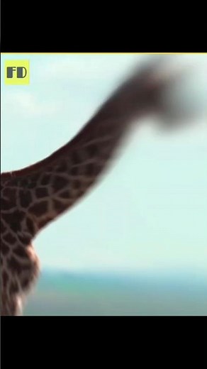 5 Amazing Facts About Animals 😱