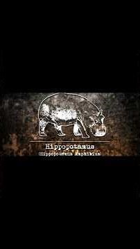 part-Carter's WAR Death in the Water S1 E3 Hippo Attack | Wildlife Rescue missions I #worldlife