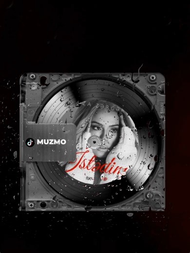 Roza Zərgərli | Istədim... #muzmo #lyricsvideo