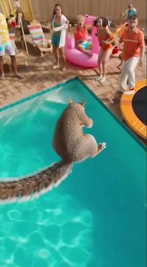 Squirrel's Epic Pool Dive