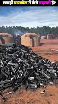 The secret to making charcoal from wood! 😲🔥 The ancient technique is still used today #Charcoal