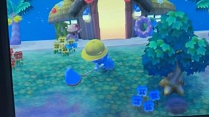 【3ds动森南岛】沉浸式动森晚间南岛打工日记