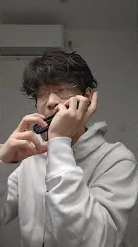 beautiful dreamer #music #harmonica