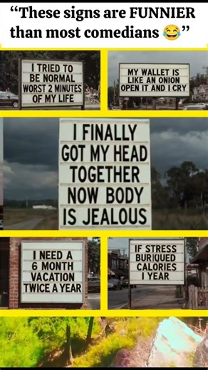 When Signboards Have ZERO Chill 😂 | Funny Signs Compilation 🪧