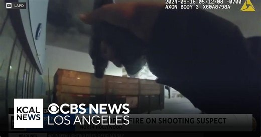 Video emerges of deadly shooting suspect being shot and killed by police