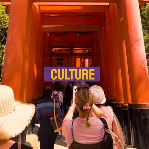 With us, it’s not just travel – it’s an ✨ experience ✨ Ready to connect with some awesome new destinations? Summer trip? | Topdeck Travel