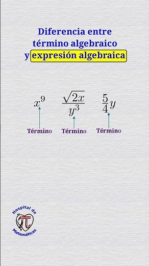 Difference between an algebraic term and an algebraic expression.