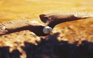 Dream Theater梦剧院 | Transcending Time (Official Video)