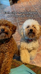 195K views · 1.3K reactions | Kennels? Nah. Board your dog in a trusted sitter’s home instead. They’ll get a fun staycation with all the love and attention they’re used to. | Rover.com | Facebook