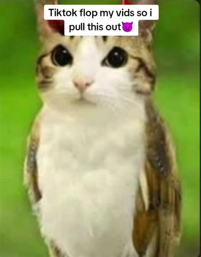 Tiktok Flop: Drawing a Femboy Maid