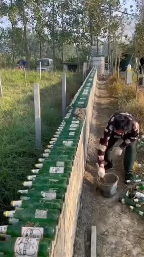 Exploring Insights About Glass Houses