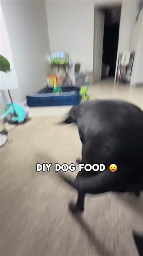 @dingie.wingy | Super easy DIY dog food or dog food topper recipe! 🍛🦴Only three ingredients required + a little extra probiotic boost from @sweetpetetreats... | Instagram