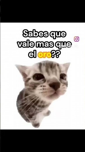 nunca cambies vales mil 🗣️🔥🔥🔥 creditos a qn corresponda #humor#instagram