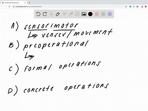 Tamara is beginning to use hypothetico-deductive reasoning and inductive reasoning in her thinking. She is becoming quite idealistic in her thinking about world politics and even her parents' behavior. In addition, she imagines that other people are as interested in her thoughts and behaviors as she is. Tamara is most likely in the stage of development. a. sensorimotor b. preoperational c. concrete-operational d. formal-operational | Numerade