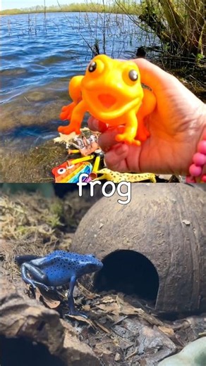 Animal Names | Kids Learn at the Lake: Pangolin Lion Frog Parrot Zebra