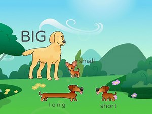 big small long short