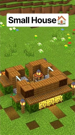 Small Starter House 🏠