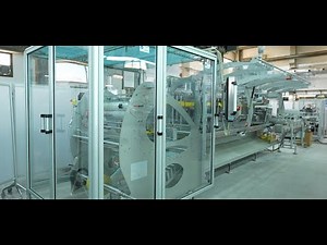 Horizontal Form Fill and Seal + Cartoning Machine