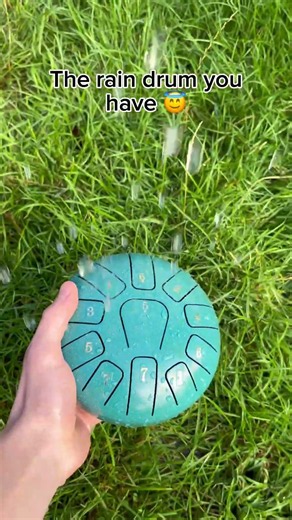 Your one is way better ☺️🌧️ #raindrum #instrument #garden #home
