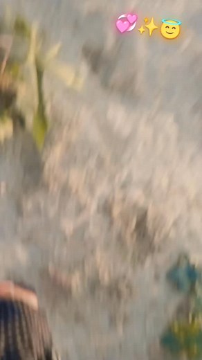 Subhash Kumar on Reels