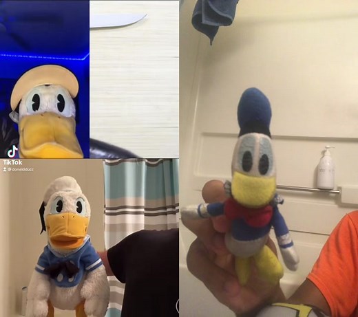 Funny Ducky Duo Duet with Eggs and Fish