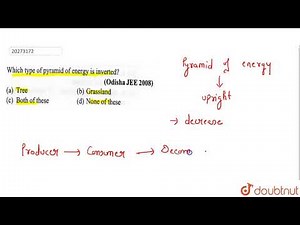 Which type of pyramid of energy is inverted?