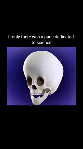 Science 🔬 on Instagram: "A skull distractor procedure is a surgical method used to gradually expand or reshape bones of the skull, often in children with craniofacial abnormalities like craniosynostosis. Surgeons attach a distractor device to the skull bones after cutting them in a planned way (osteotomy). Over days or weeks, the device is slowly adjusted to pull the bones apart, allowing new bone to form in the gap (distraction osteogenesis). This helps increase skull space and improve shape w
