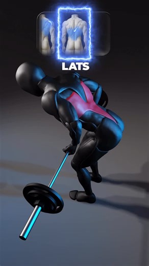 Fitonomy App | Lat Pulldown Grip Guide 💪 Follow @fitonomy.coach for more back-building workouts. Want a back that turns heads? It’s not just about... | Instagram