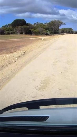 31K views · 202 reactions | OUR JOB IS SO VERY DANGEROUS AT TIMES I had guests on too A scary near miss for me this afternoon still shaky this looks a lot slower but I would have been doing about 75km I had my indicator on to over take, he went to the side and then swang around in front of me no indicator etc, he waved sorry 梁 PS I’m so glad Luca has dashcams great safe vehicles and good tyres | Nikki Redman | Facebook