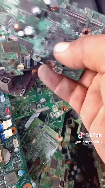 Micro Panel on TikTok