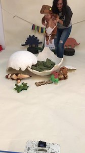 26M views · 95K reactions | There’s no containing this dinosaur. Behind the scenes sneak peek. :) We laughed so hard throughout the entire session!!! With- JoAnn Marrero, | From Labor to Love | Facebook