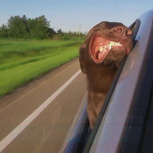 216K views · 894 reactions | Feel the thrill of making your own great marketing videos. Spend only a few minutes creating something amazing! | Promo.com | Facebook